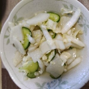浅漬け風☆白菜サラダ～だしドレッシング～